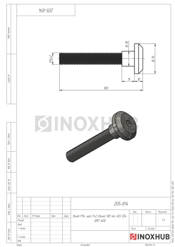 Винт М14, шаг Р=2 длина 100 мм, AISI 304, GRIT 600